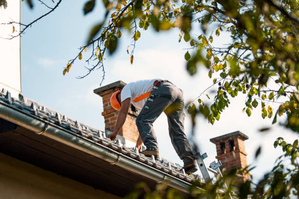 Best Roof Maintenance Services  in Piney Mountain, VA