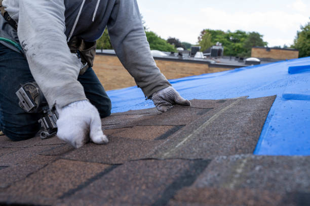 Best Residential Roofing Contractor  in Piney Mountain, VA