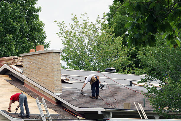 Best Roof Repair Services  in Piney Mountain, VA
