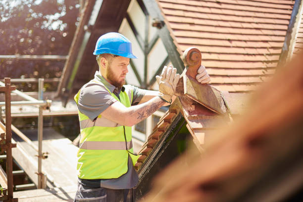 Best Roof Repair Specialists  in Piney Mountain, VA